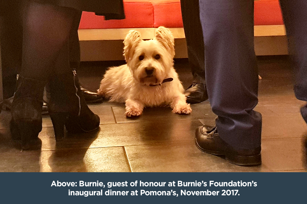 Burnie, 10th March 2004 – 3rd July 2018